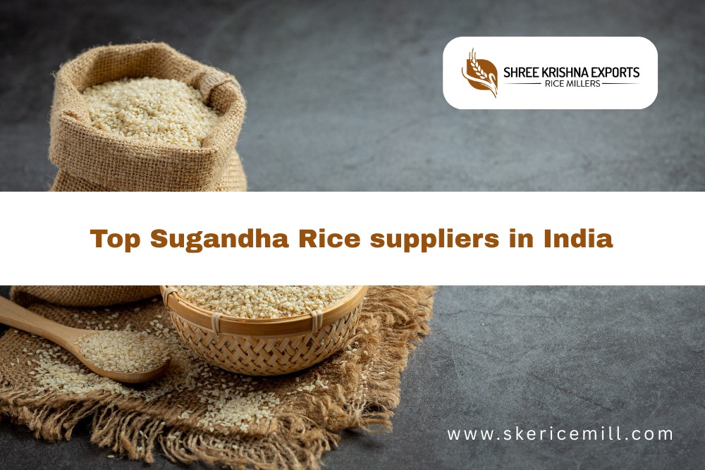 Top Sugandha Rice suppliers in India