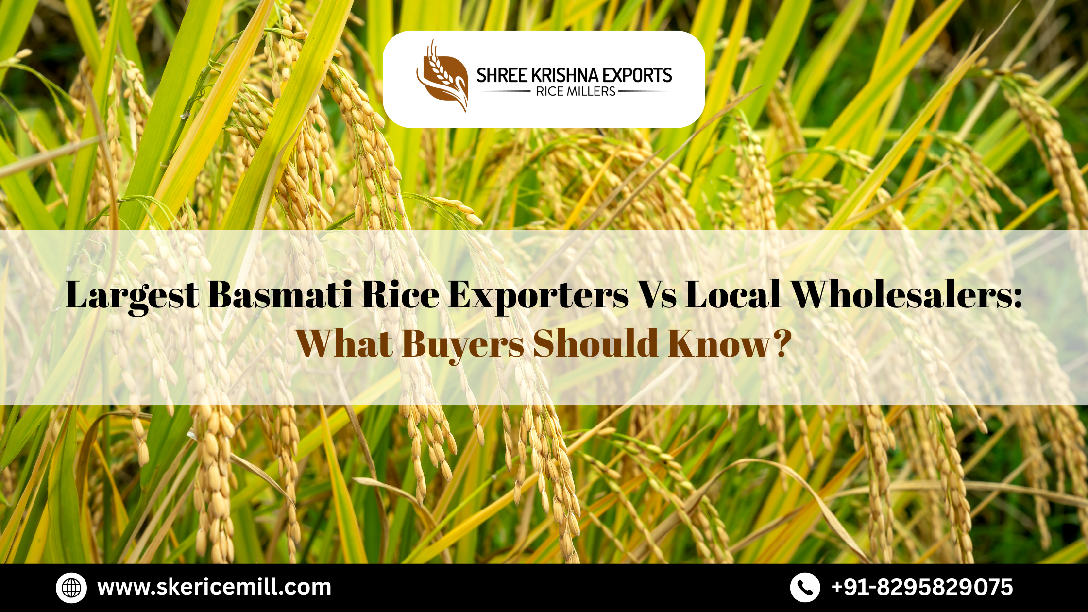 Largest Basmati Rice Exporters