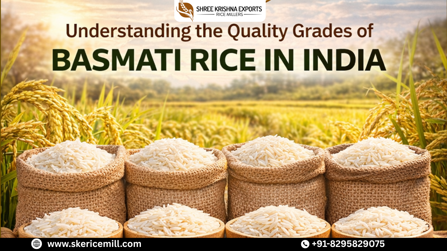 Understanding the Quality Grades of Basmati Rice in India