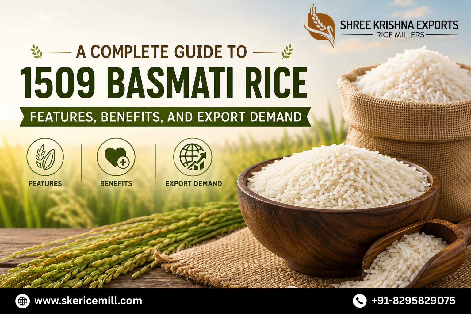 1509 Basmati Rice Exporter in India